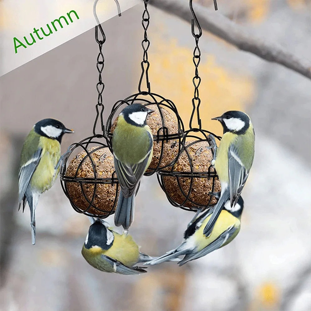 Round Shape Metal Bird Feeders Hanging Bird Food Holders for Attracting Woodpecker Robi