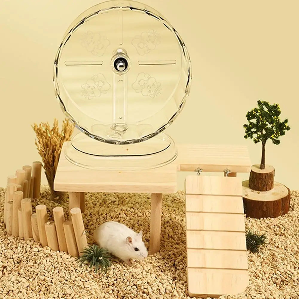 Hamster Silent Running Wheel – Transparent Exercise Toy Easy to Clean (18/21/24 cm)