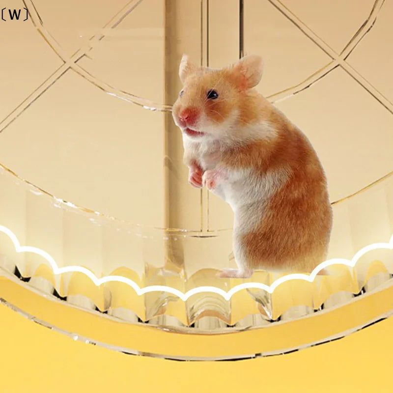 〔W〕Hamster Exercise Wheel Acrylic Transparent with Stand Prevent Slip Easy Clean for Hamster Cage Versatile〔Winter1〕
