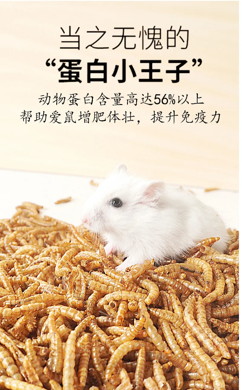 Hamster Food Snacks Birds Hedgehog Guinea Pig Pet Nutrition Feed Food Dried Bread worms