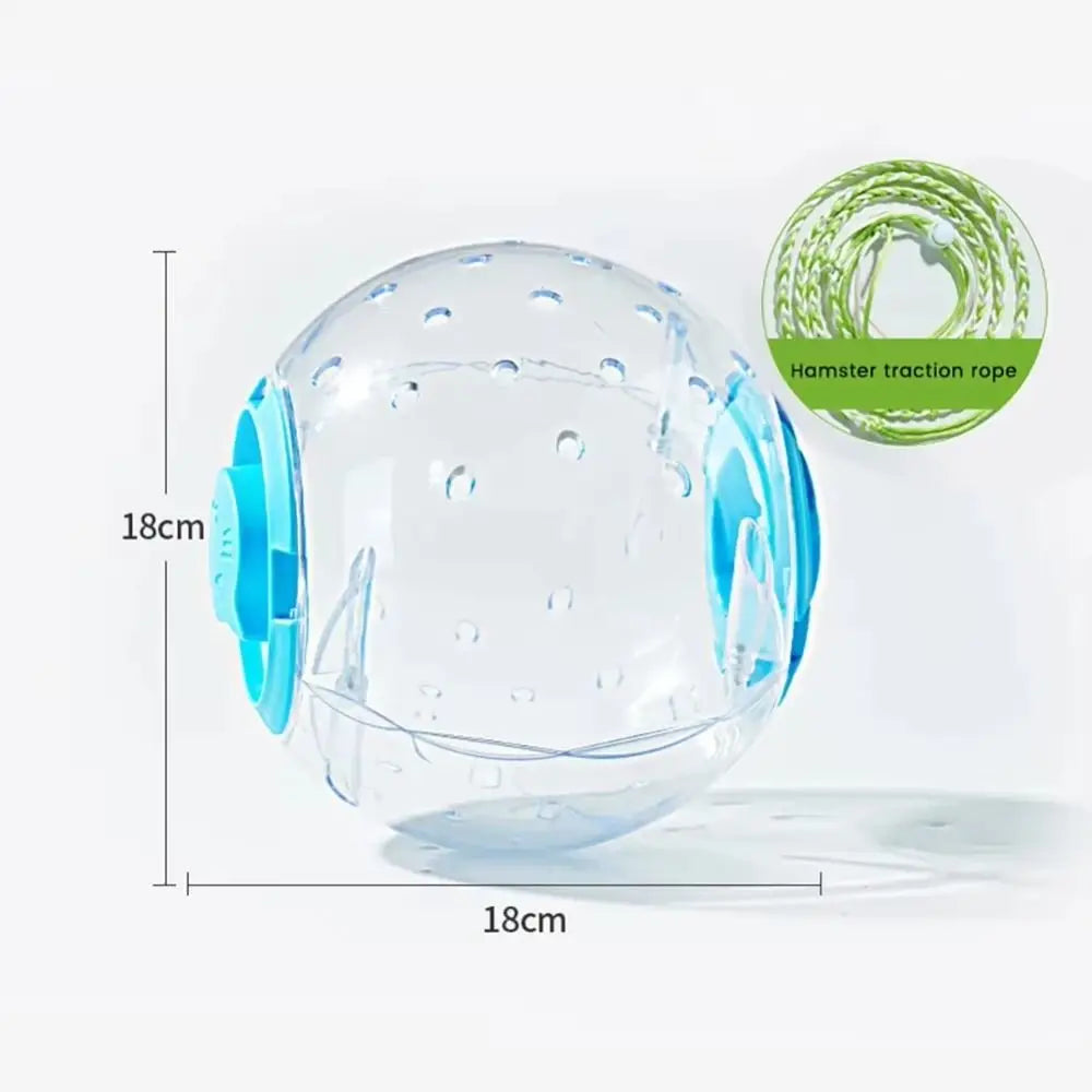 Hamster Exercise Ball – Transparent Running Ball with Traction Rope (14cm / 18cm)