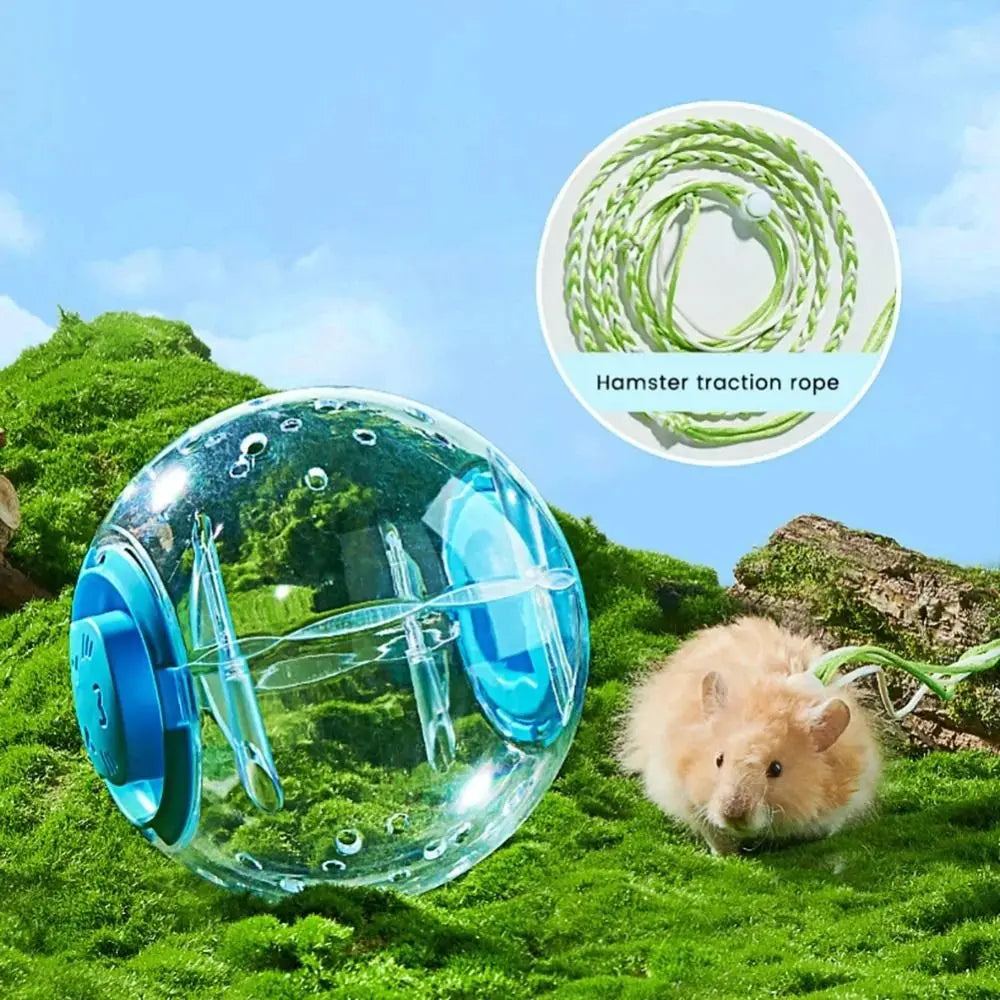 Hamster Exercise Ball – Transparent Running Ball with Traction Rope (14cm / 18cm)