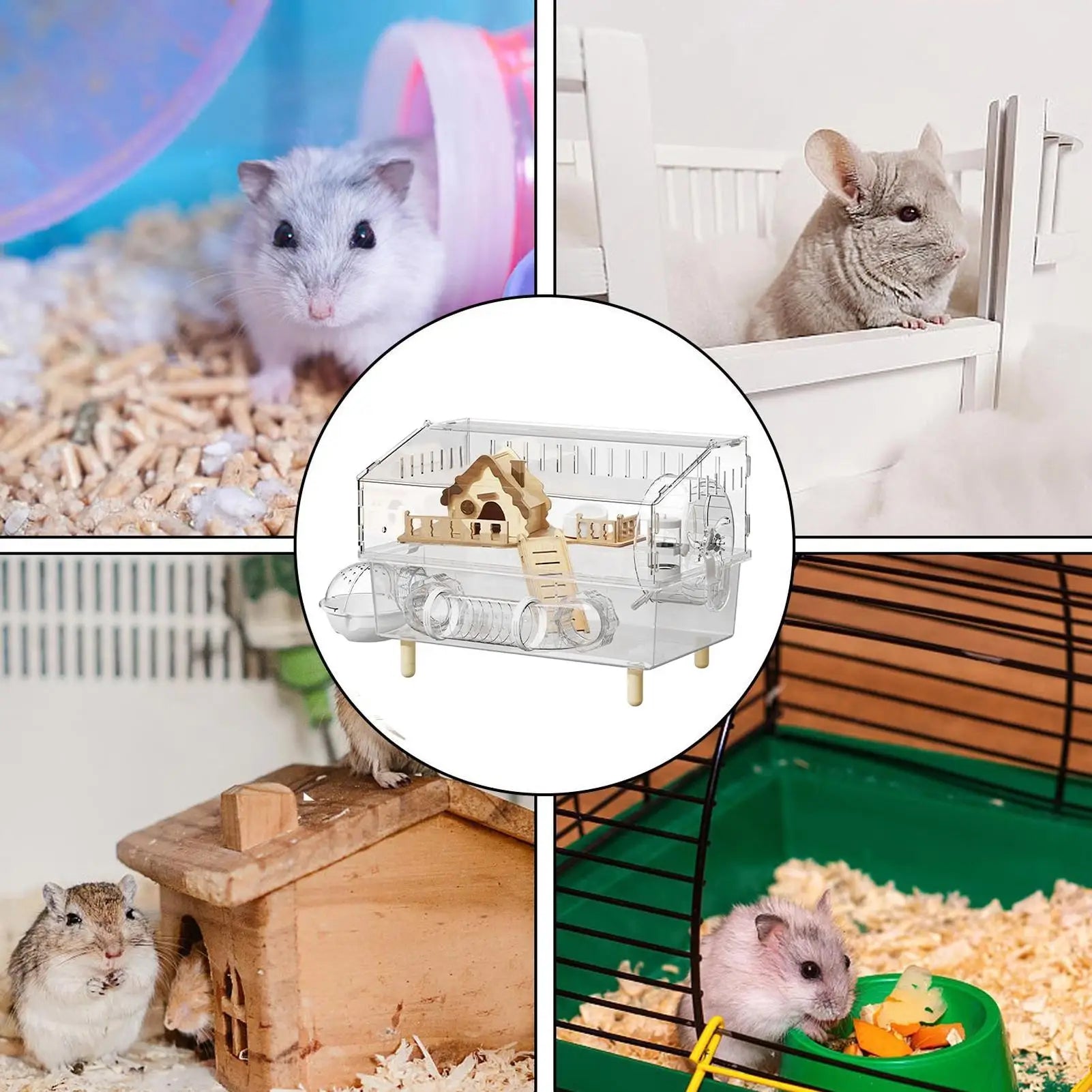 2-Layer Clear Acrylic Hamster Cage – Indoor & Outdoor Habitat with Observation View