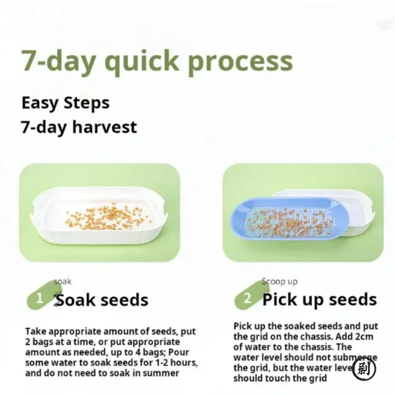 Hydroponic Cat Grass Box Cat Treats Catnip Hydroponic Soilless Planting Cat Grass Pot Set for Easy Growth