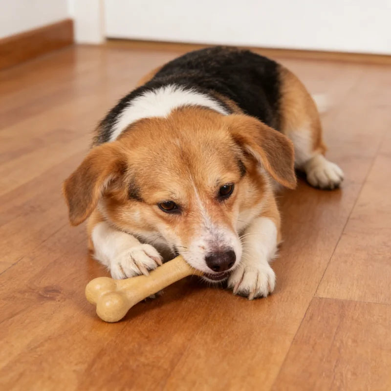 Dog Bone Chews Toys Nearly Ind estructible Natural Non-Toxic Anti-bite Puppy Toys For Small Medium Large Dog Pet Chew Toy