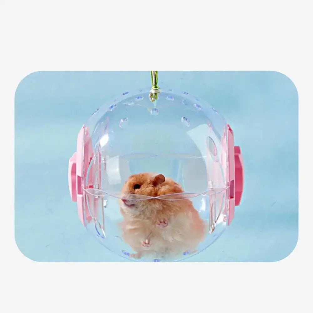 Hamster Exercise Ball – Transparent Running Ball with Traction Rope (14cm / 18cm)