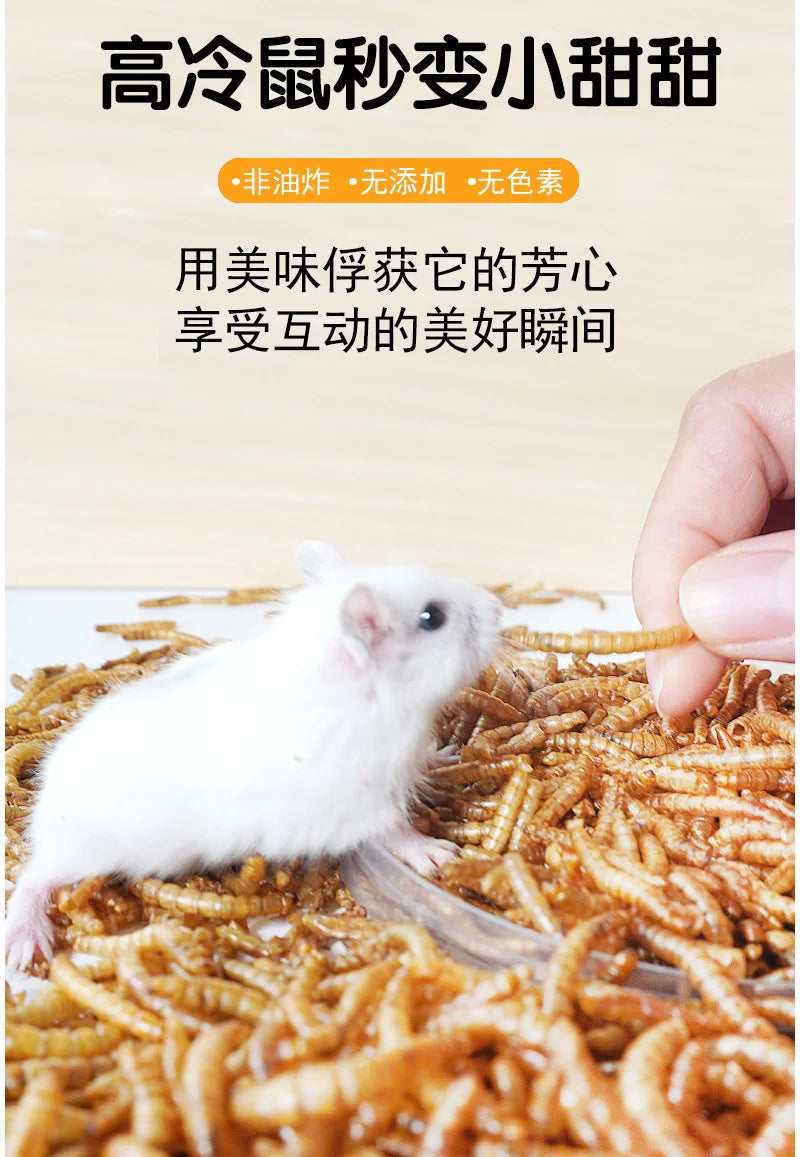 Hamster Food Snacks Birds Hedgehog Guinea Pig Pet Nutrition Feed Food Dried Bread worms