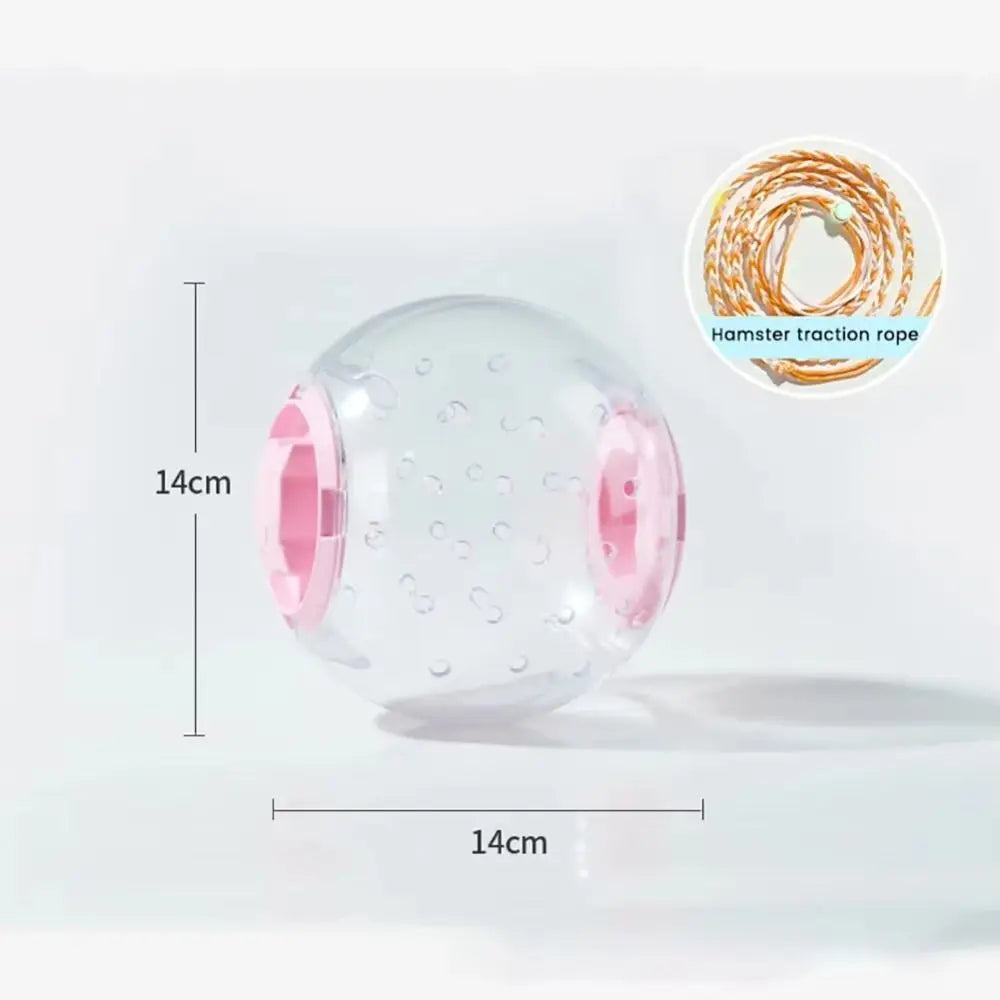 Hamster Exercise Ball – Transparent Running Ball with Traction Rope (14cm / 18cm)