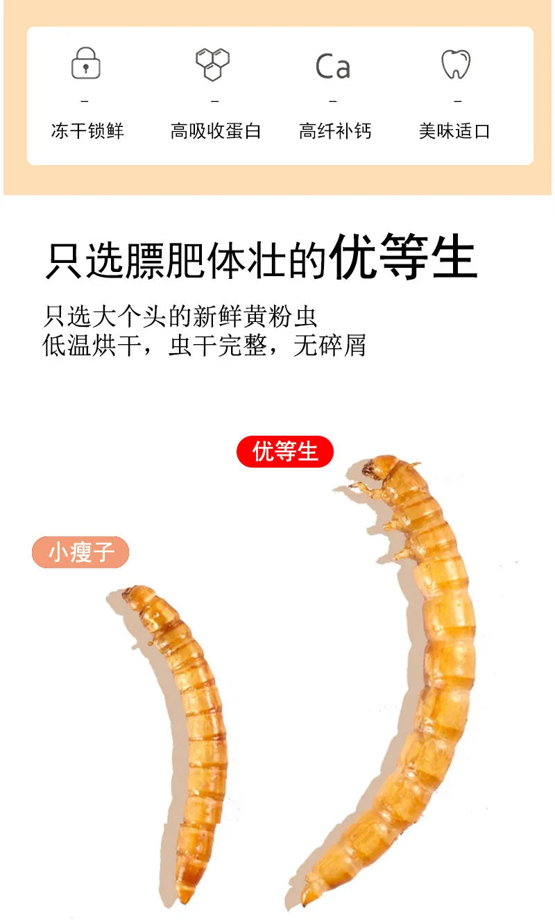 Hamster Food Snacks Birds Hedgehog Guinea Pig Pet Nutrition Feed Food Dried Bread worms