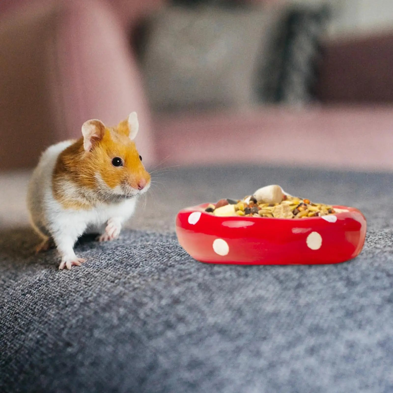 Ceramic Mushroom Hamster House – Hideout Cave & Food Bowl for Small Pets