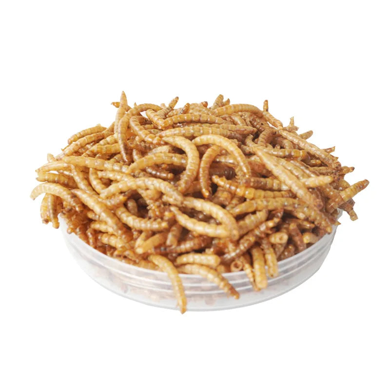 Hamster Food Snacks Birds Hedgehog Guinea Pig Pet Nutrition Feed Food Dried Bread worms