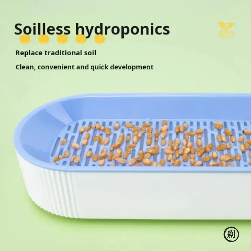 Hydroponic Cat Grass Box Cat Treats Catnip Hydroponic Soilless Planting Cat Grass Pot Set for Easy Growth